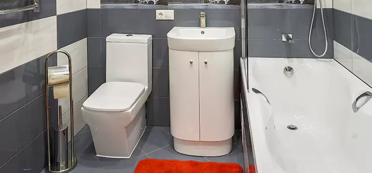 Hansgrohe Shaving Mirror West Islip
